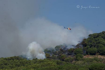 Imagen del incendio, en el que trabajan bomberos y medios aéreos de la Generalitat / Foto: Josep Carmona