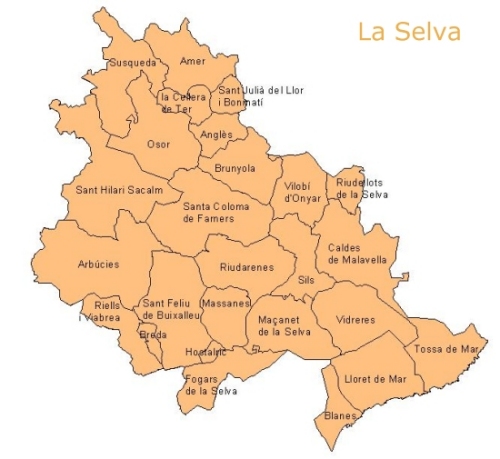 Mapa de la comarca de la Selva