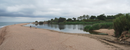 Delta de la Tordera