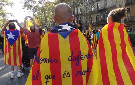 Un argument molt senzill i contundent